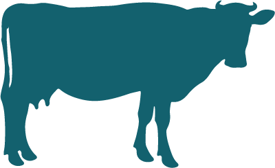 Icone de bœuf