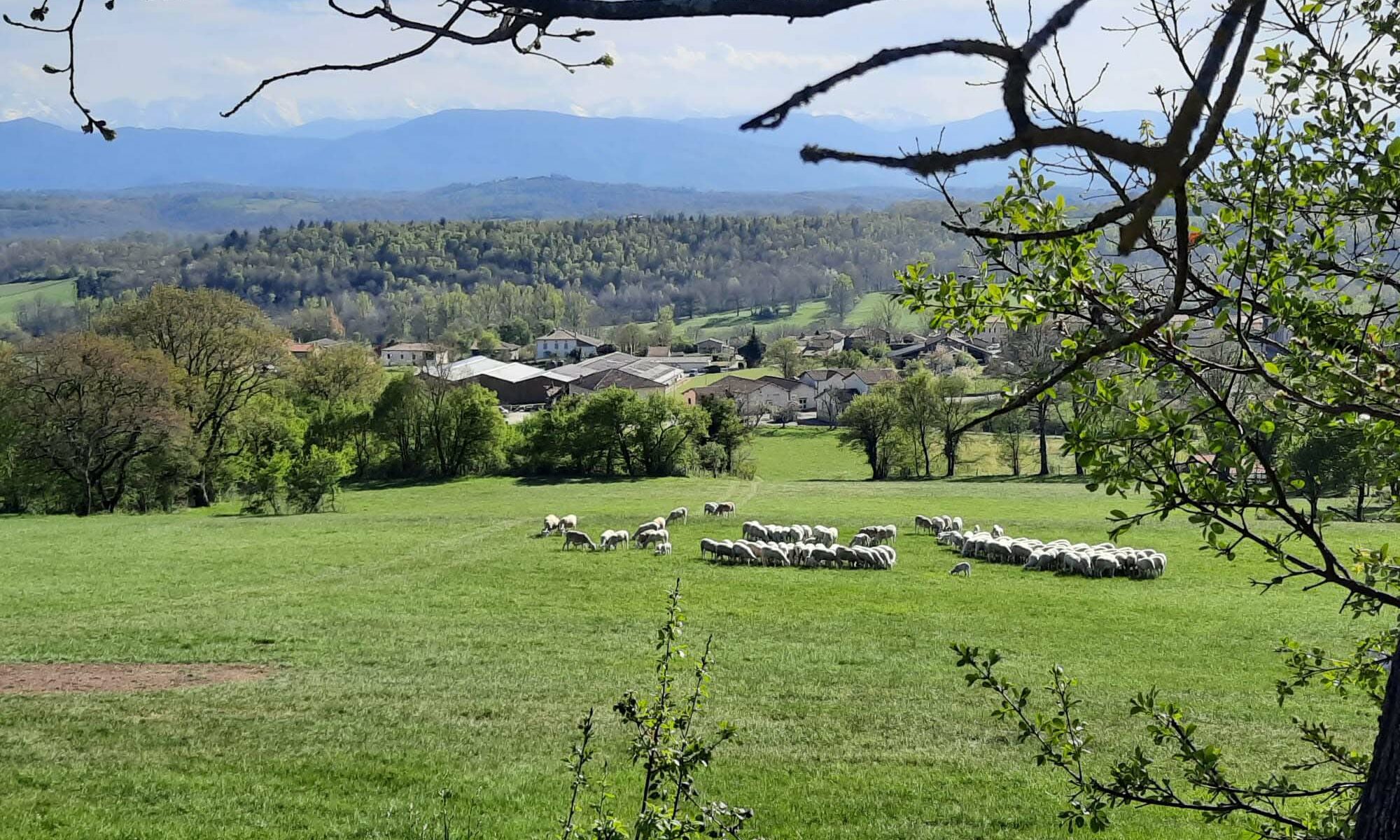 vue du village de cerizols depuis la ferme de montaigon