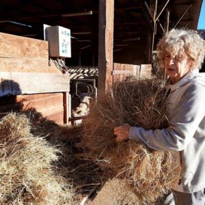 Christine Andre à la ferme de Montaigon