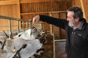 Eric Andre nourrissant ses vaches