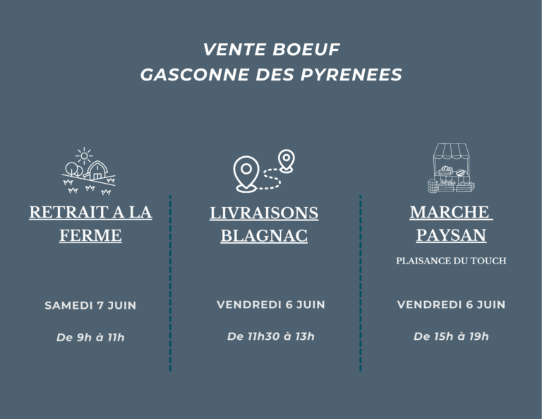 VENTE DIRECTECOLIS BOEUF