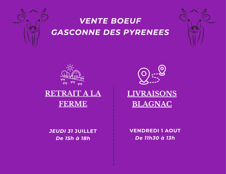 VENTE DIRECTE TOULOUSE COLIS BOEUF