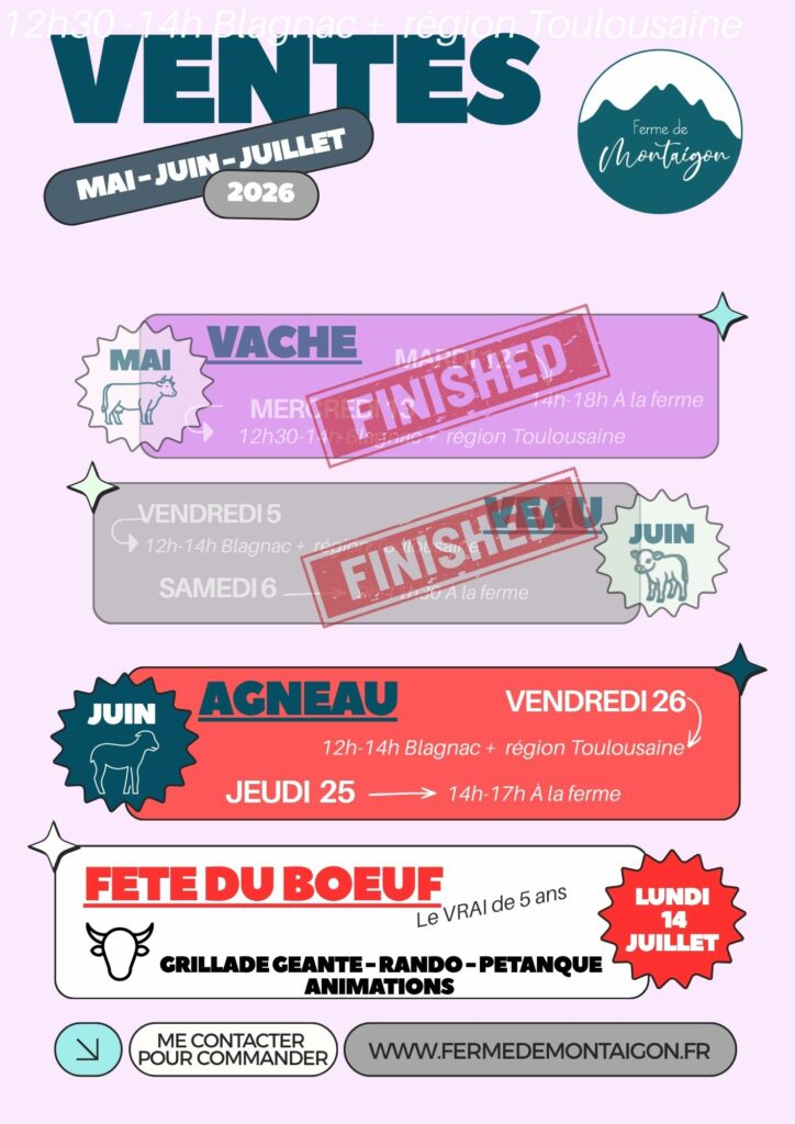 vente directe agneau