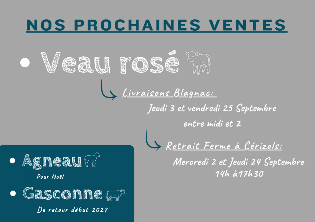 vente directe