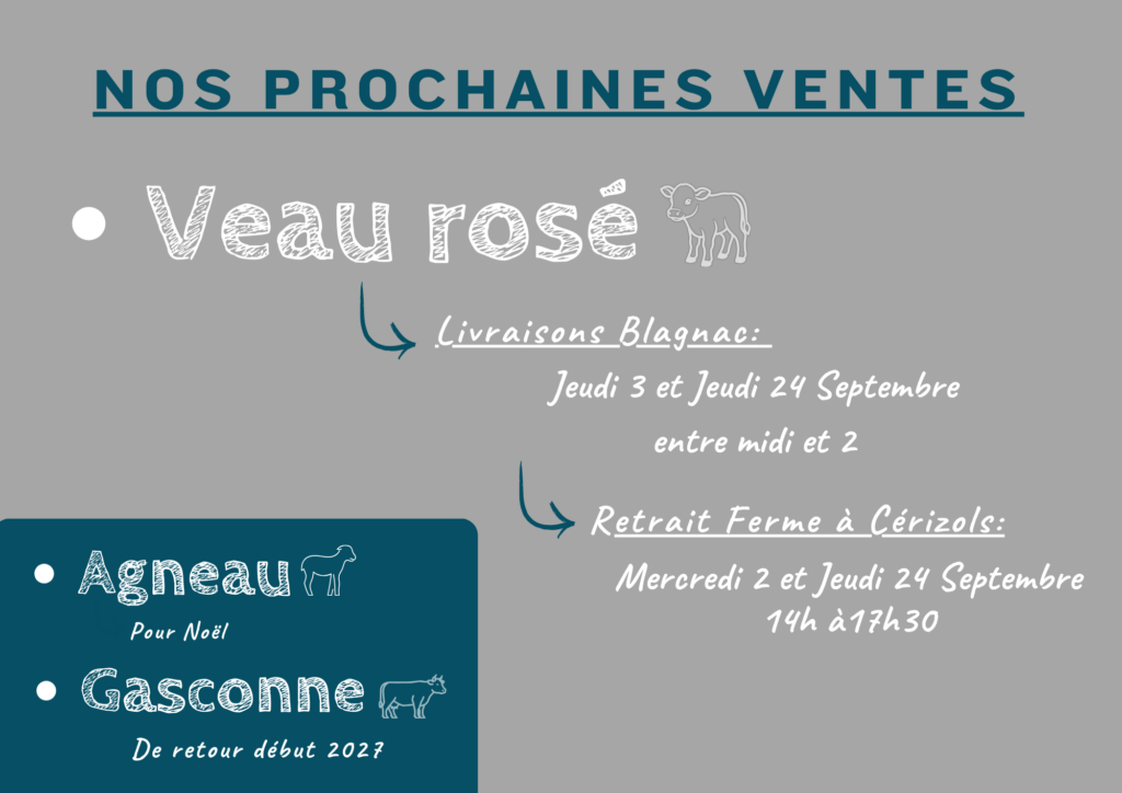 vente directe