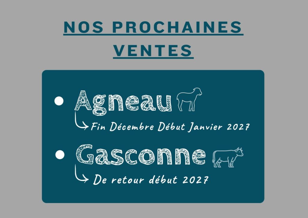 vente directe noel